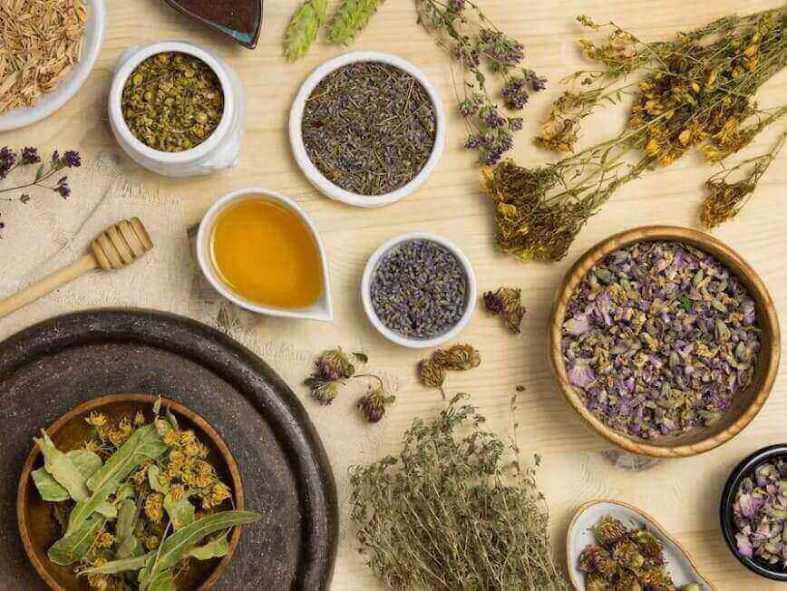 Naturopatia